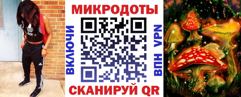 Псилоцибиновые грибы GOLDEN TEACHER  наркота  Заринск 